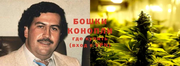 дживик Ладушкин