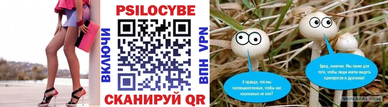 Псилоцибиновые грибы ЛСД  Купить где  Порхов 